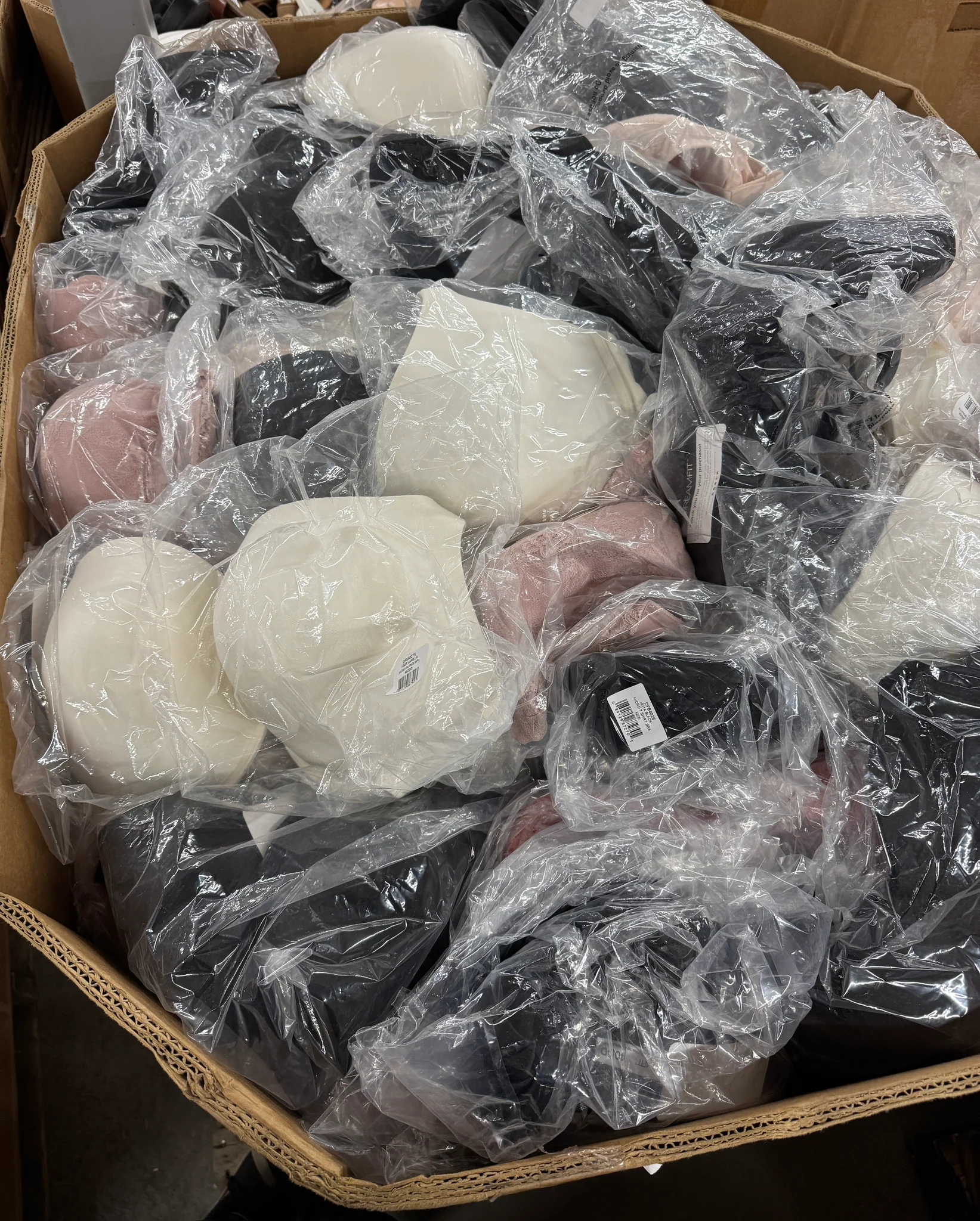 Dreamfit Plus Size Bras Pallet