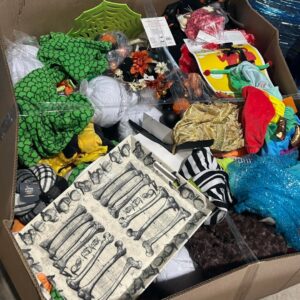 Halloween costume Pallet