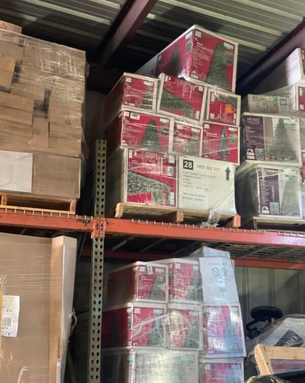 Christmas Pine Trees: 25-Item Load Pallet