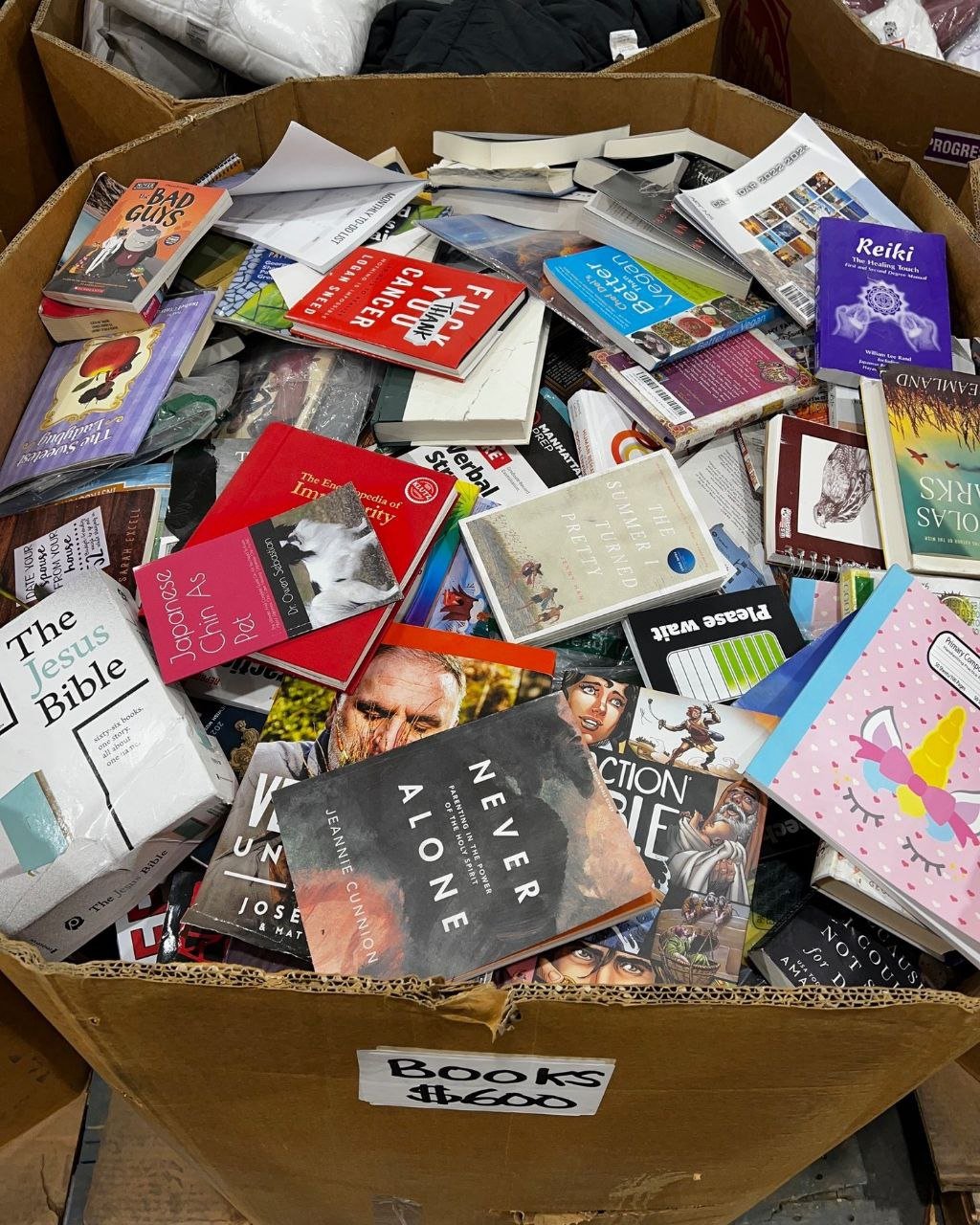 Wholesale Books Pallet – 300 Assorted Resale Books