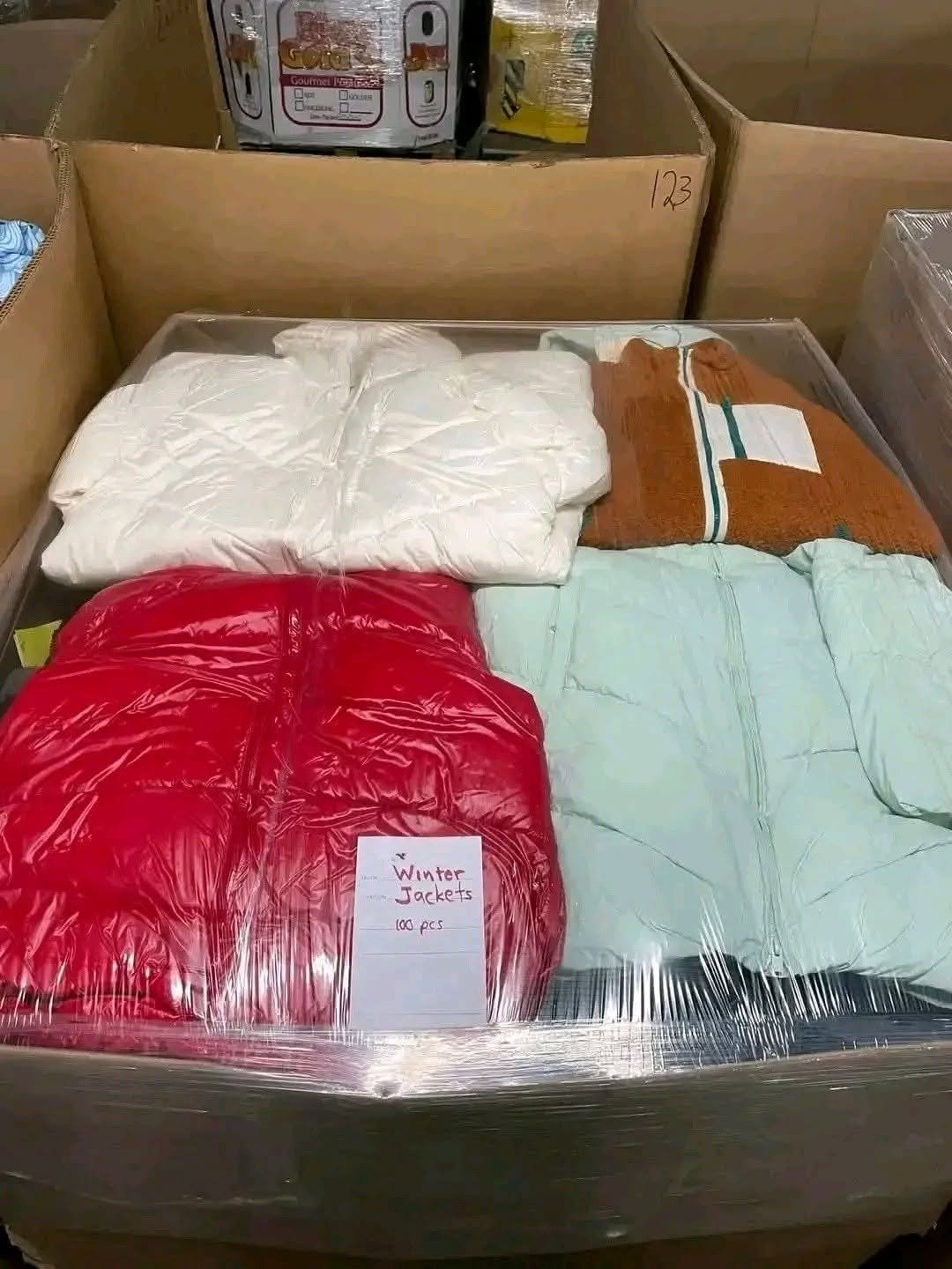 Wholesale Winter Jackets Pallet (100 Pieces)